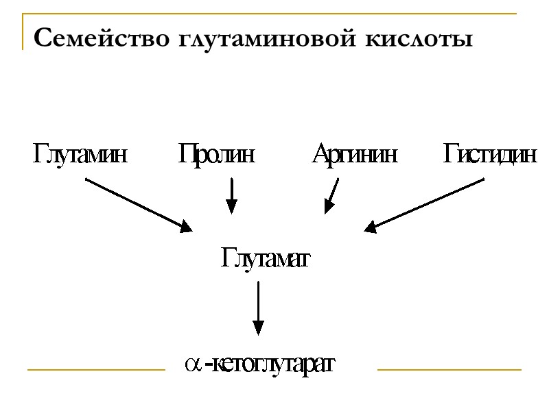 Семейство глутаминовой кислоты